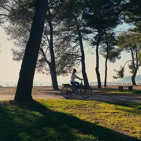 Olive Family - & Adria