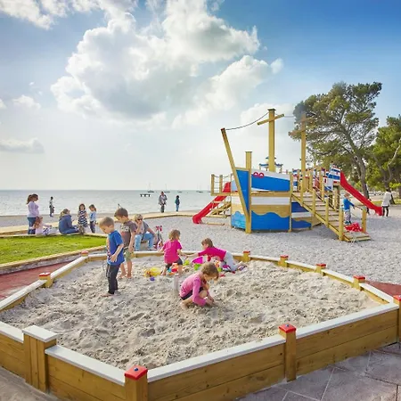 Olive Family - & Adria