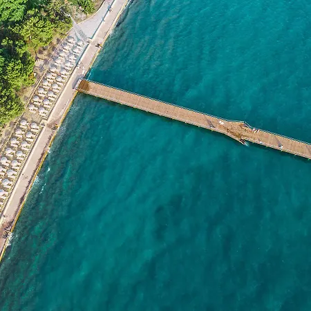 Olive Family - & Adria فندق أنكاران