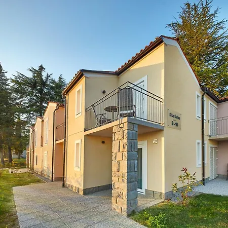 Olive Family - & Adria