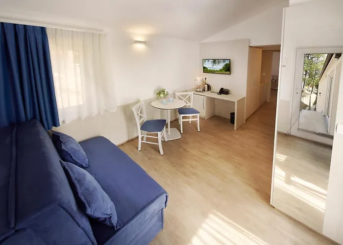 Hotel Olive Family - & Adria 4*