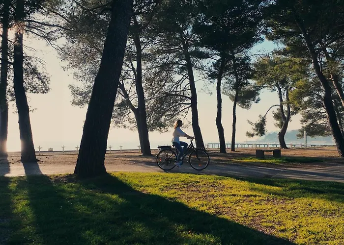 Olive Family - & Adria