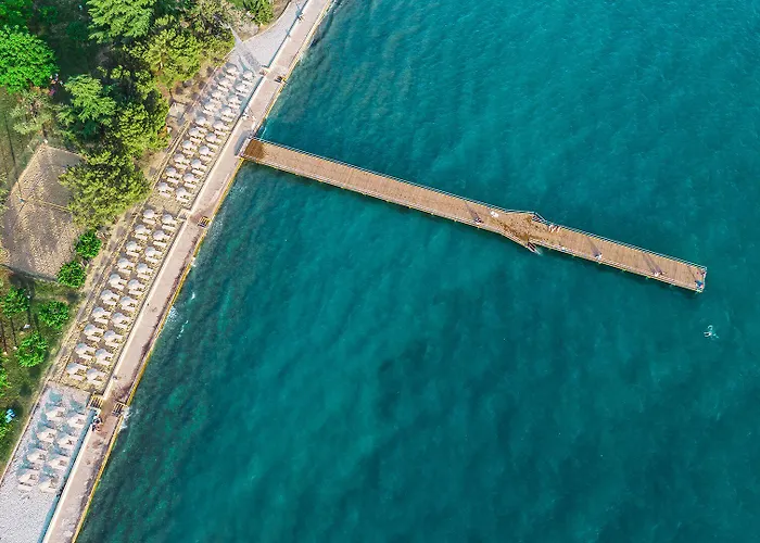 Olive Family - & Adria Hotel Ancarano