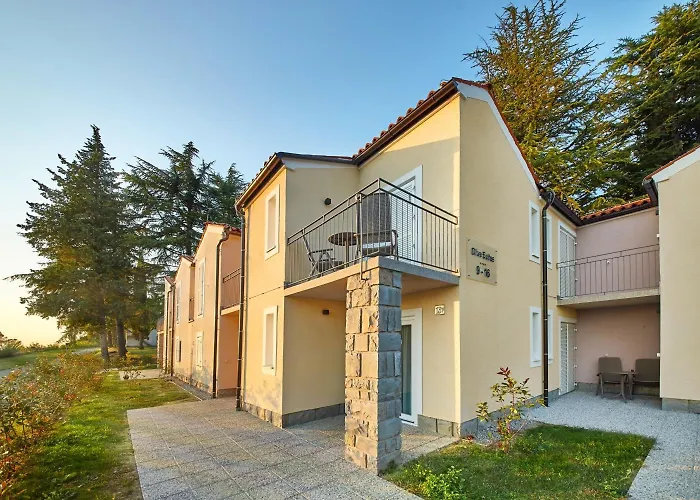 Olive Family - & Adria