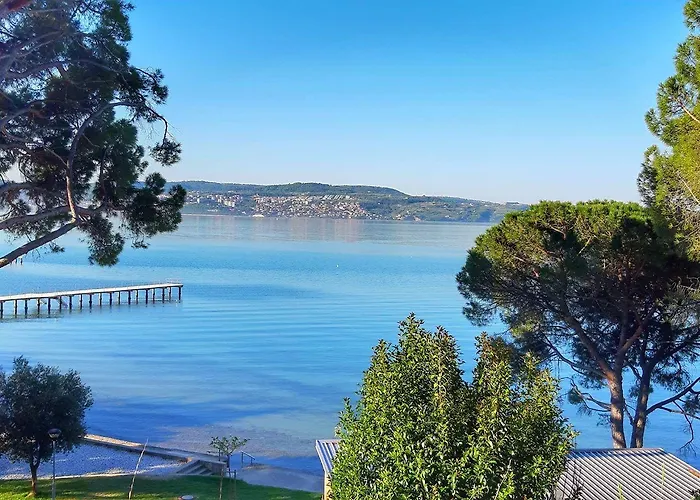 Olive Family - & Adria Ancarano