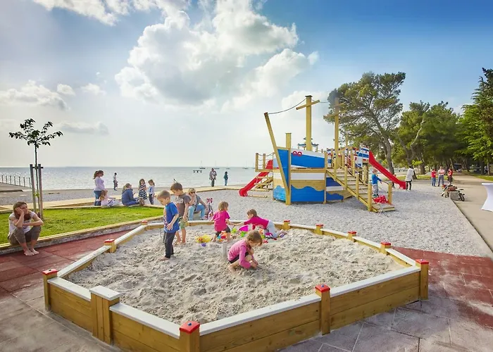 Olive Family - & Adria